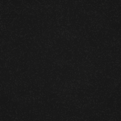 NOHrD / WaterRower Artificial Black leather finish swatch