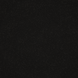 NOHrD / WaterRower Geniune Black leather finish swatch