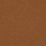 NOHrD / WaterRower Geniune leather finish swatch