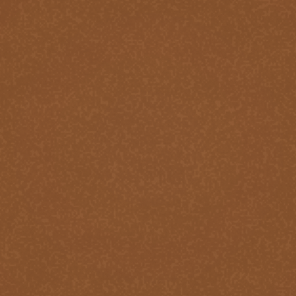 NOHrD / WaterRower Geniune leather finish swatch