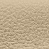 PENT Beige leather swatch