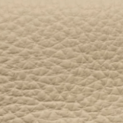 PENT Beige leather swatch