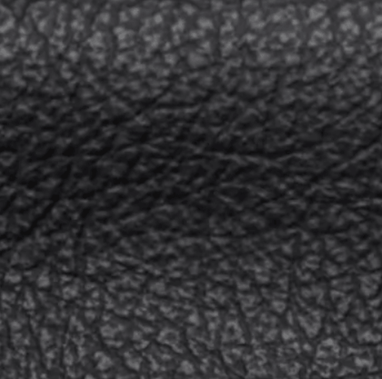 PENT Black leather swatch