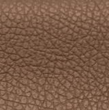 PENT Brown leather swatch