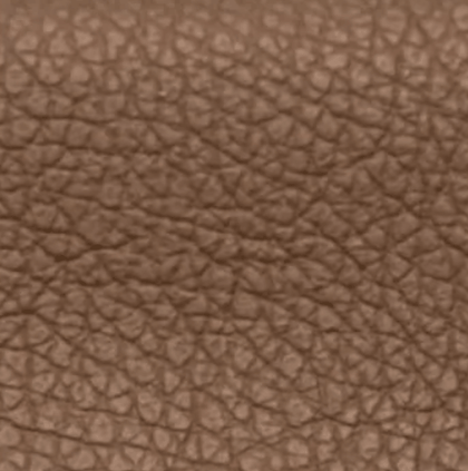 PENT Brown leather swatch