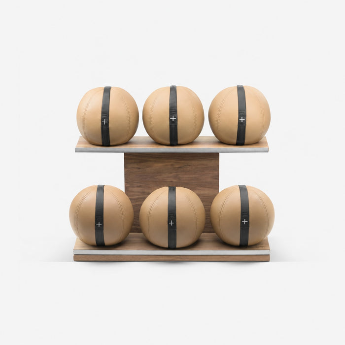 Moxa Leather Medicine Ball Set, Full