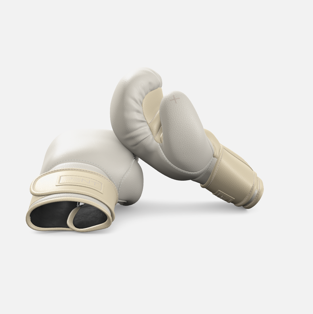 Raxa Leather Boxing Gloves