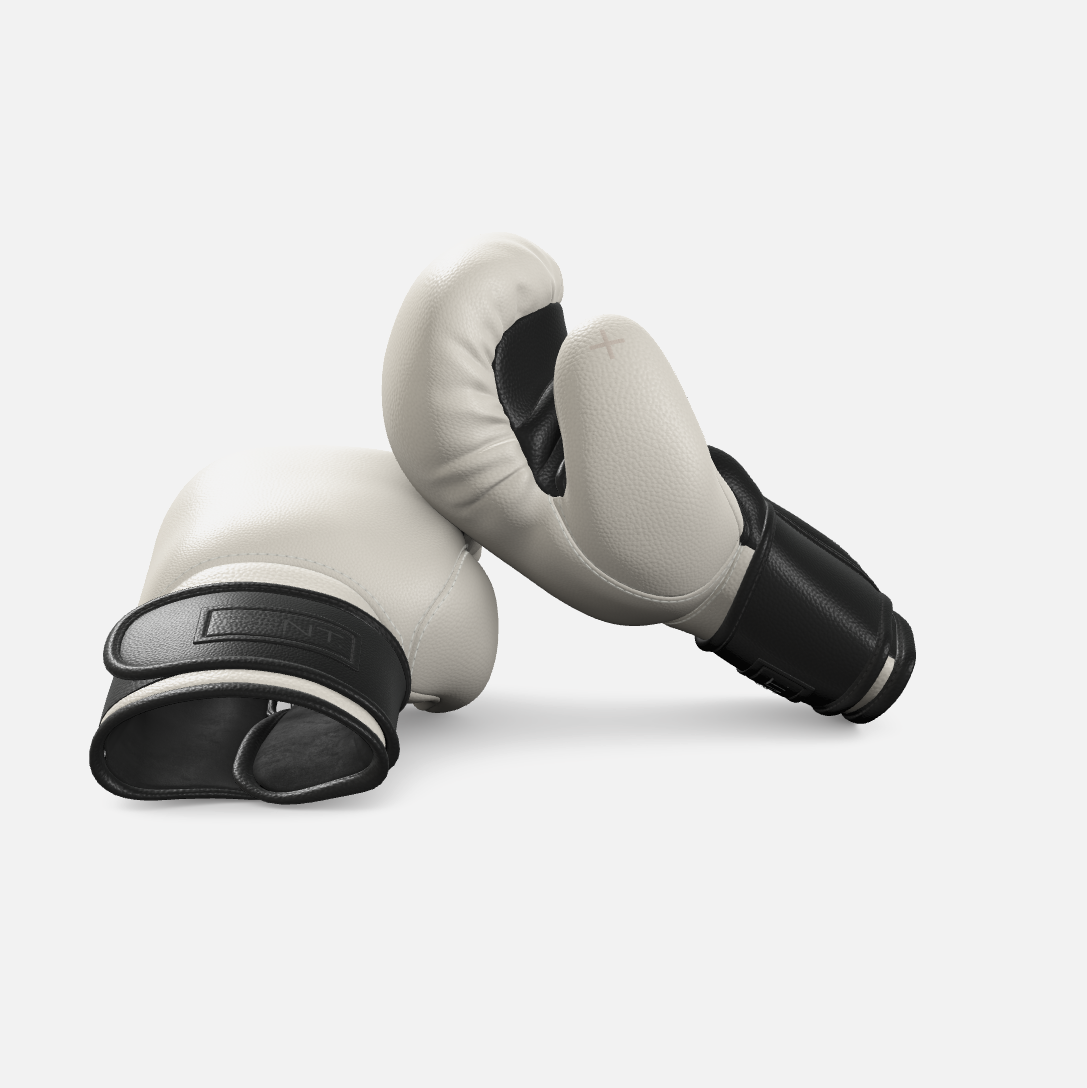 Raxa Leather Boxing Gloves