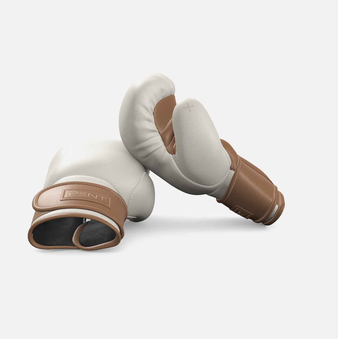 Raxa Leather Boxing Gloves