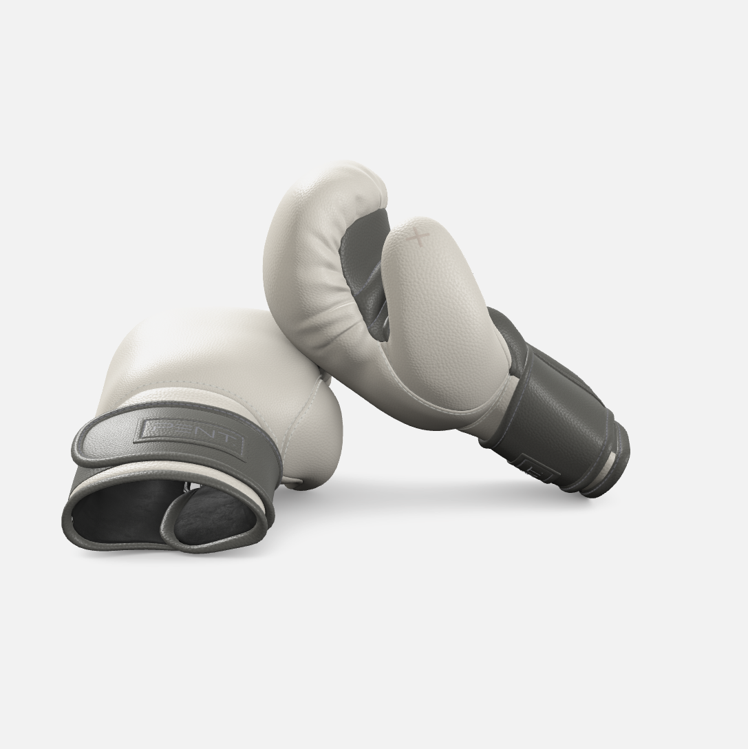 Raxa Leather Boxing Gloves