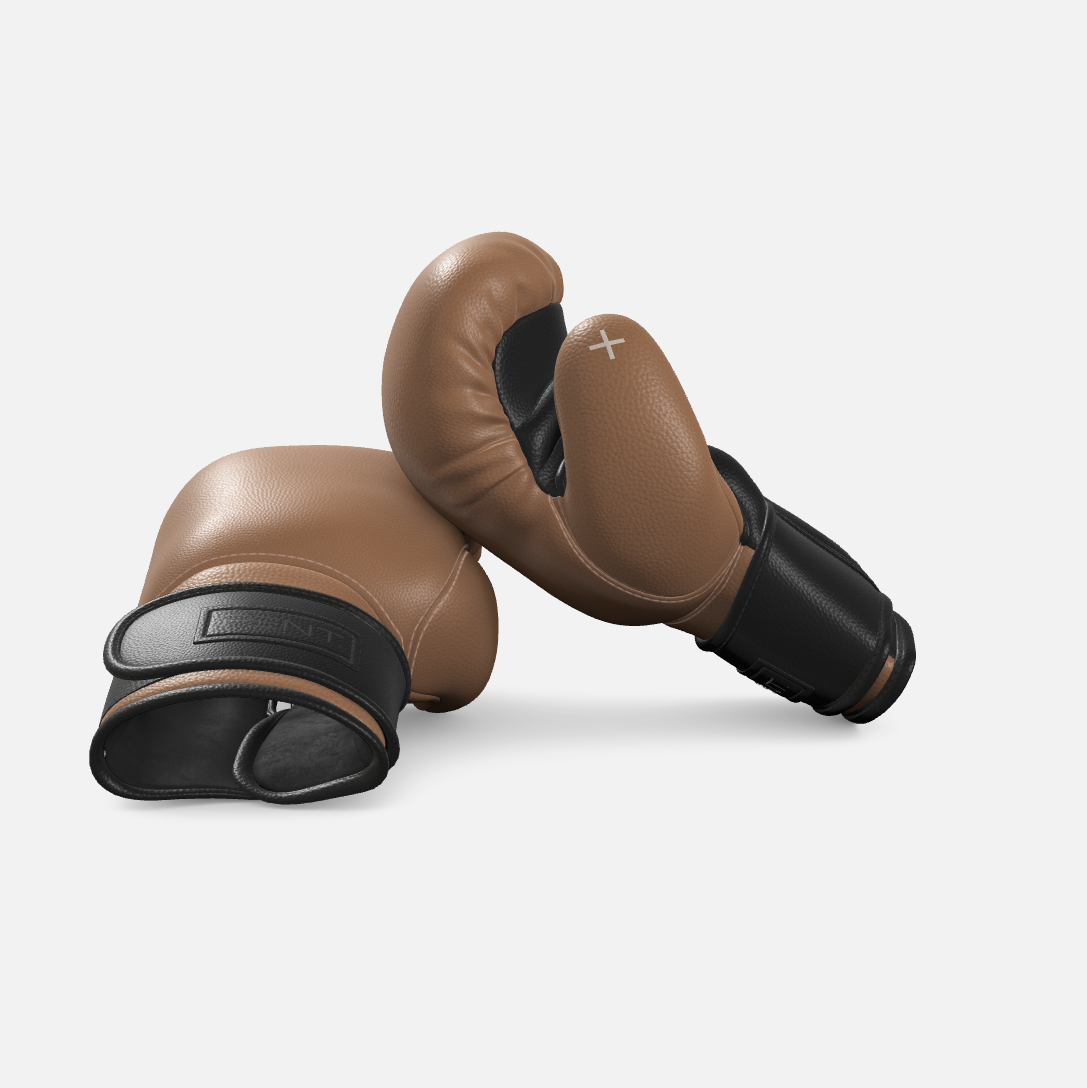 Raxa Leather Boxing Gloves