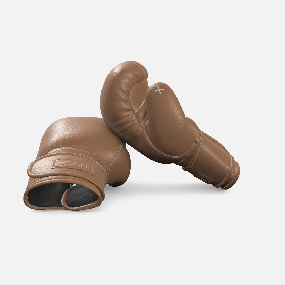 Raxa Leather Boxing Gloves