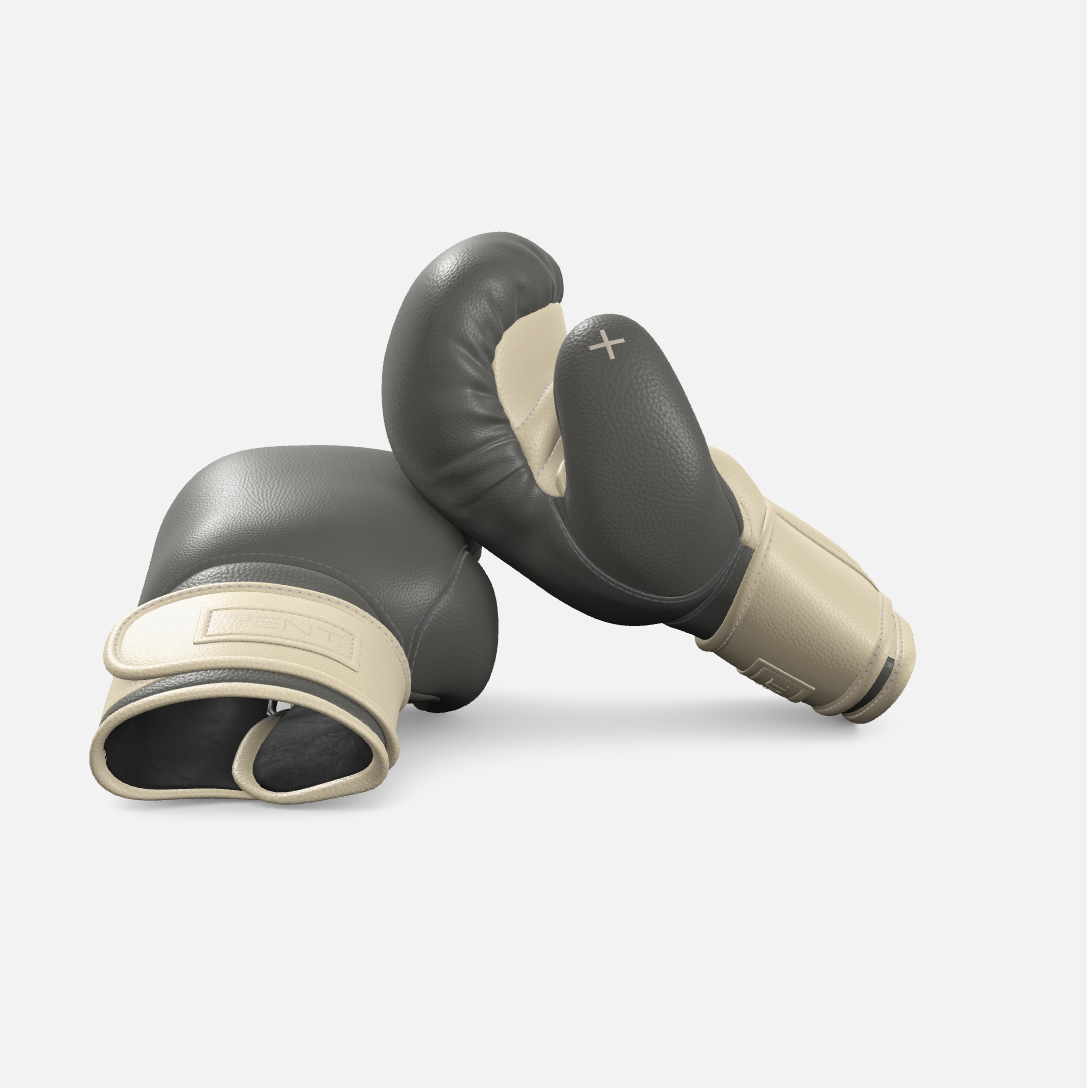 Raxa Leather Boxing Gloves