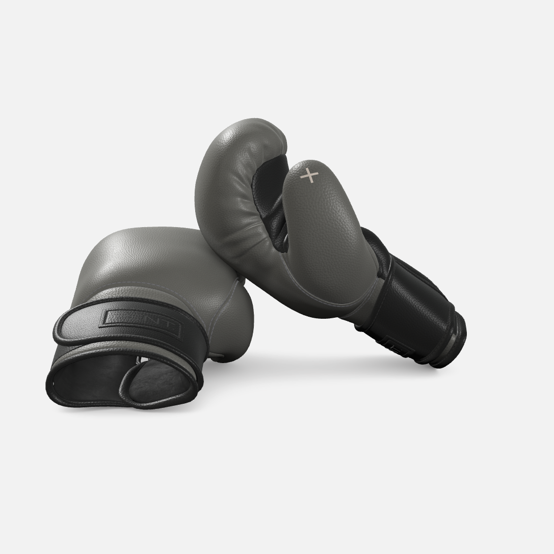 Raxa Leather Boxing Gloves