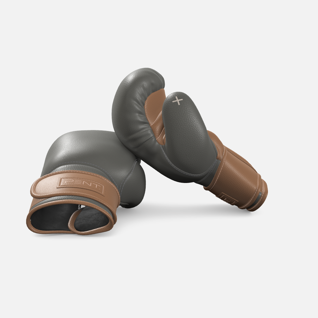 Raxa Leather Boxing Gloves