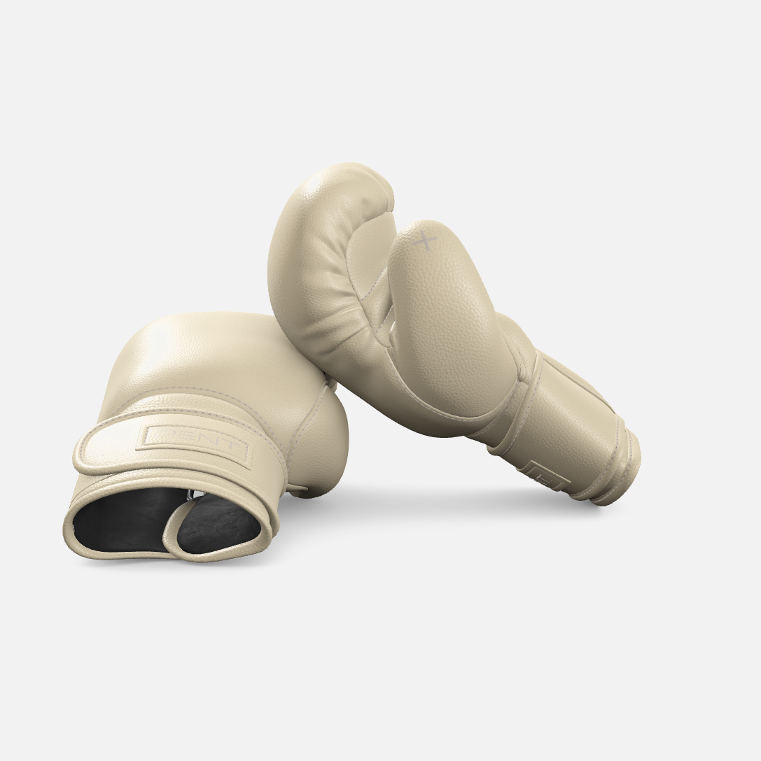 Raxa Leather Boxing Gloves