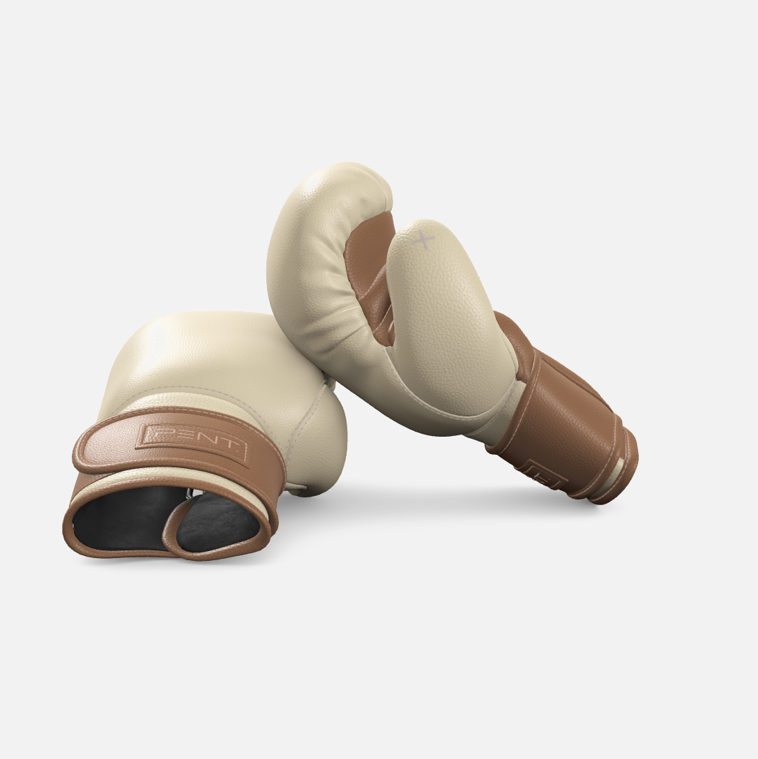 Raxa Leather Boxing Gloves