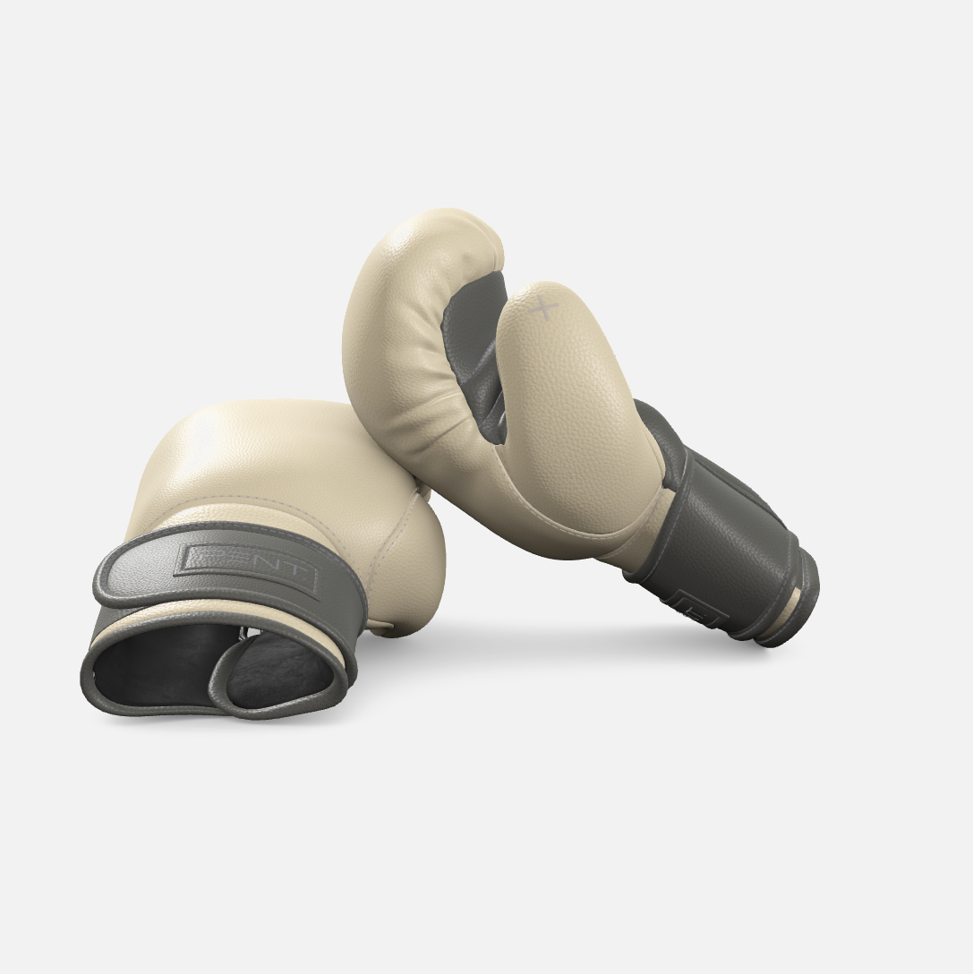 Raxa Leather Boxing Gloves