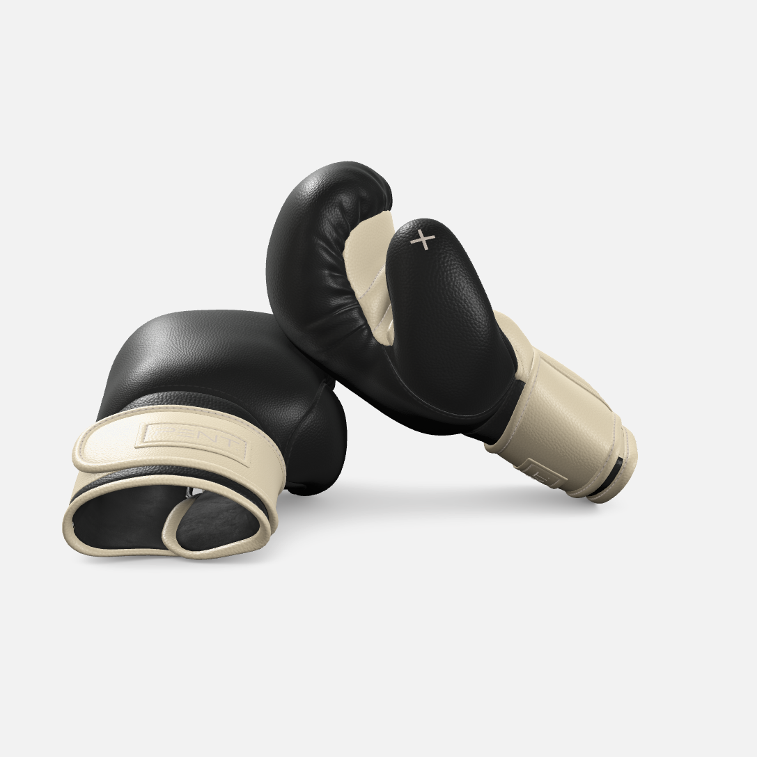 Raxa Leather Boxing Gloves