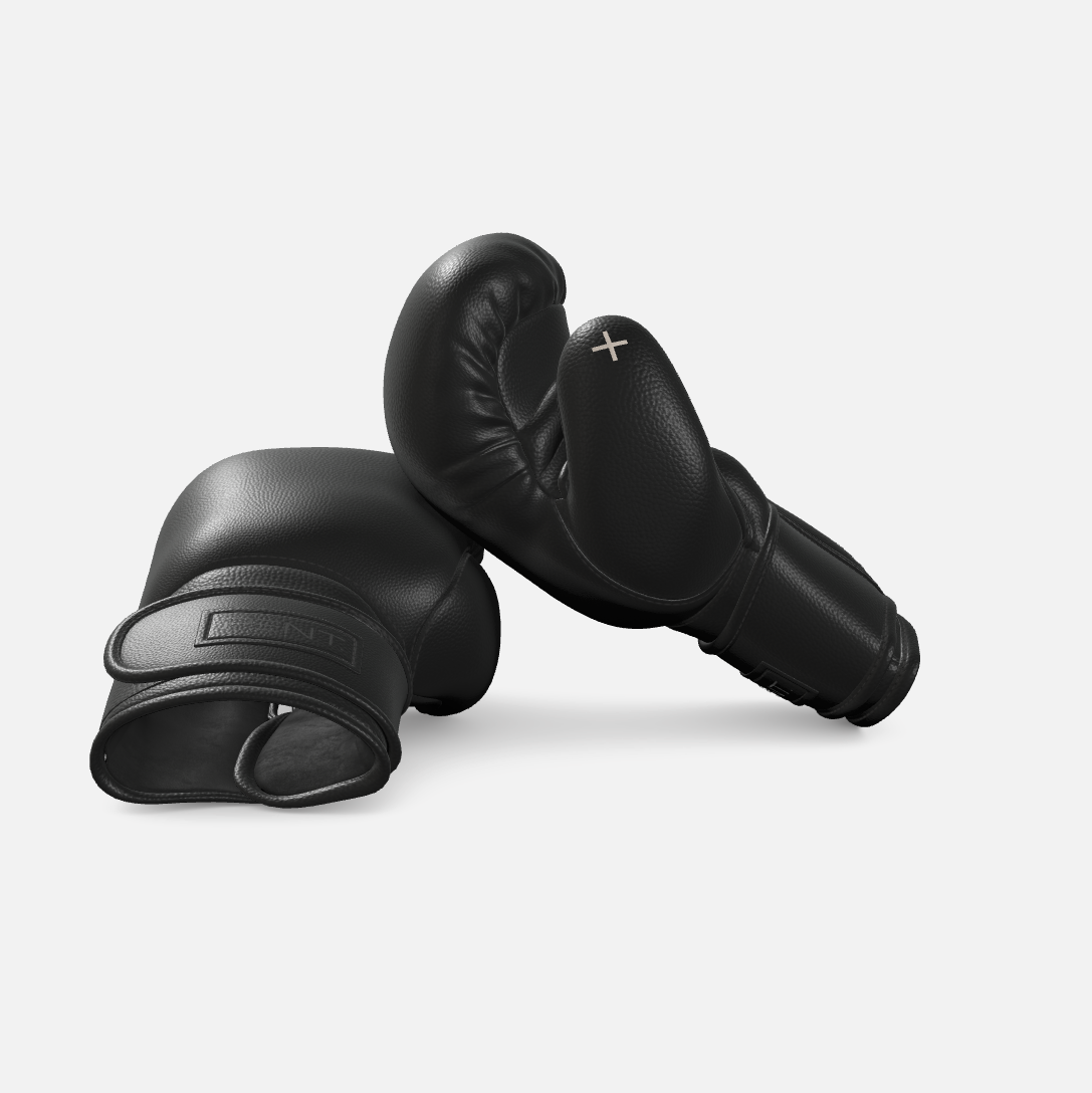 Raxa Leather Boxing Gloves