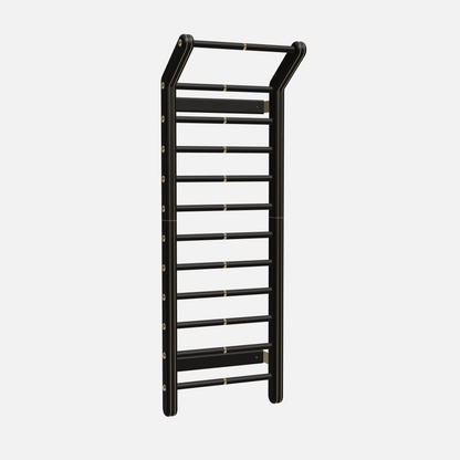 Scala Advance Plus Exercise Wall Bar — Gold, Black Ash